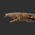 Realistic Prehistoric Aquatic Reptile 3D Model With Striped Skin Open Mouth And Sharp Teeth