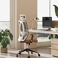 Ergonomic Mesh Office Chair In Bright Public Workspace With Desk Lamp Monitor And Green Plants