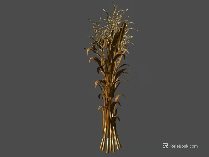 Rustic Dried Corn And Wheat Ears Bouquet For Home Decorative Arrangement 3d model 