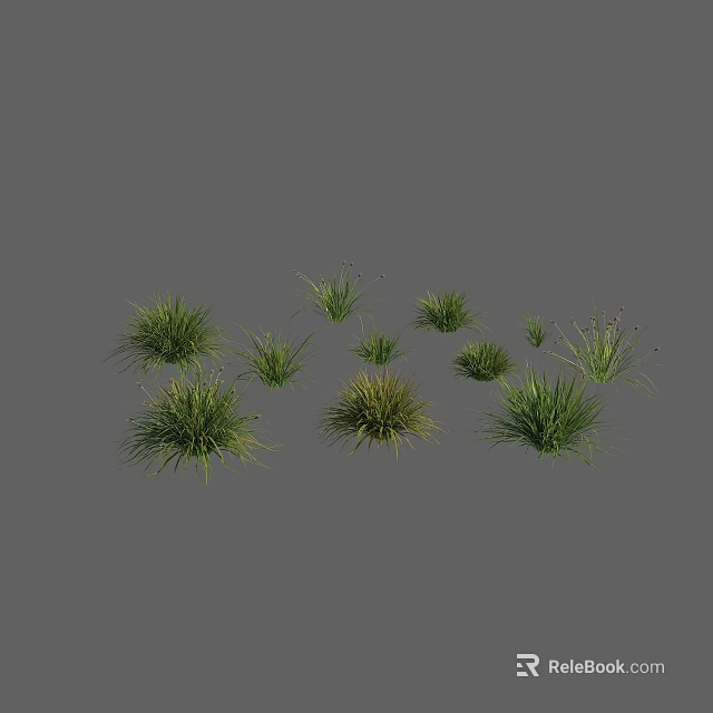 Green Grass Clumps Different Types Various Sizes Arranged on Grey Background 3d model