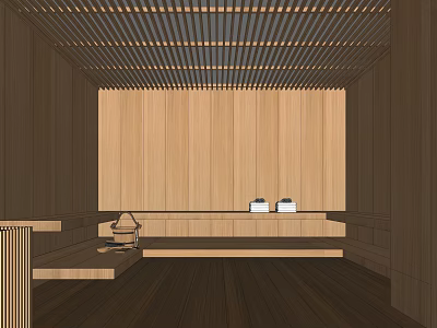 Traditional SPA Sauna Interior Design With Wooden Panel Walls And Relaxation Benches 3d model