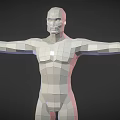 Low Poly 3D Human Figure Model Showcasing Biological Structure With Arms Outstretched And Anatomical Features 3d model