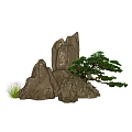 Natural Courtyard Garden With Rocks Pine Tree And Green Grass