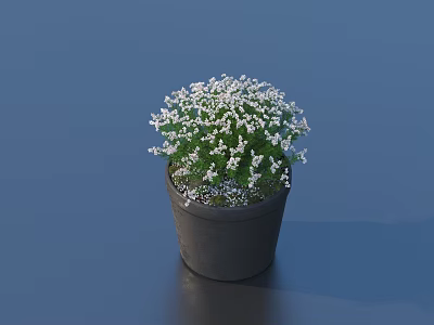 Bonsai Potted Plant in Black Pot with White Flowers and Green Leaves 3d model