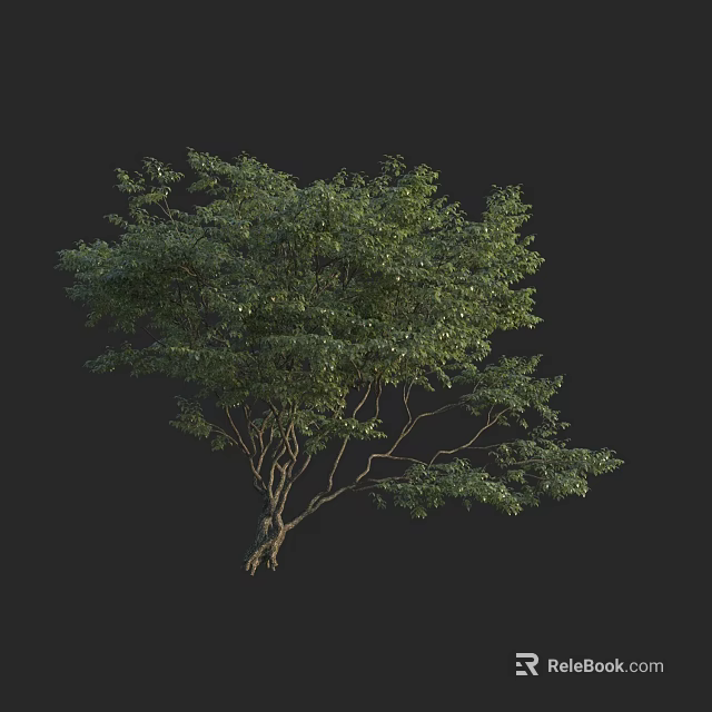 Arbor Tree With Lush Green Leaves Intricate Branches And Black Background 3d model 