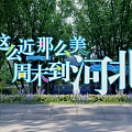 Weekend Trip To Hebei With Scenic Green Trees And Leisure Walk Experience
