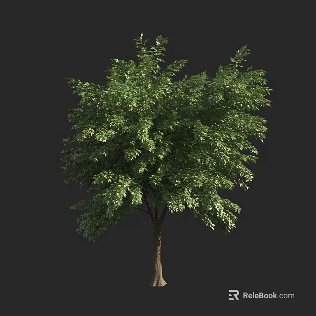 Lush Green Arbor With Dense Foliage And Strong Trunk In Natural Environment 3d model 