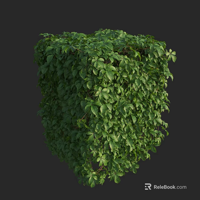 Lush Green Vine Covering Decorative Cube Structure With Dense Foliage Leaves 3d model