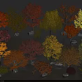 Colorful Diverse Trees with Red Yellow Orange Green Leaves and Stones in Landscape