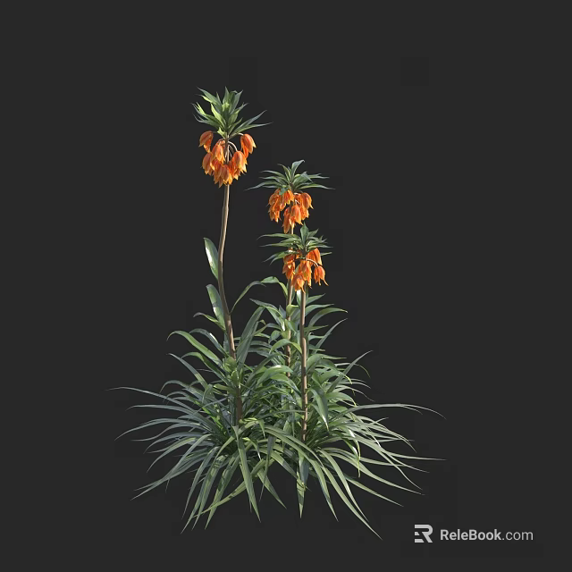 Bonsai Potted Plant With Orange Flowers And Long Green Leaves On Black Background 3d model 