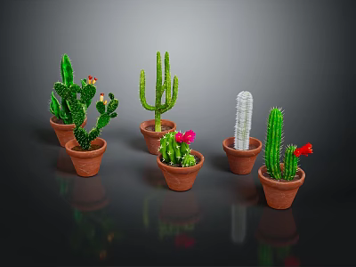 Cactus Plants Of Various Shapes In Brown Pots With Red Flowers 3d model