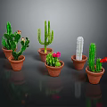 Cactus Plants Of Various Shapes In Brown Pots With Red Flowers