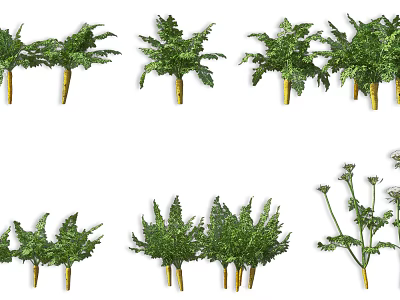 Assorted Green Decorative Plants Including Palm Leaves And Ferns For Decoration 3d model