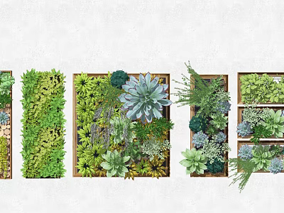 Various Living Plant Wall Designs With Succulents And Green Foliage For Interior Decor 3d model