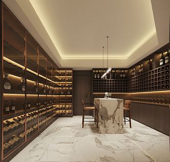 Modern Wine Cellar 3d model