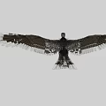 Majestic Eagle Spreading Wings with Detailed Feathers in Flight Stance Against Neutral Background