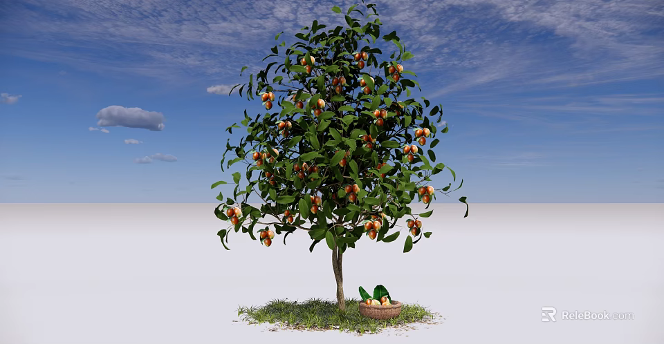 Fruit Bearing Arbor With Ripe Fruits And Basket On Green Grass Under Blue Sky 3d model 