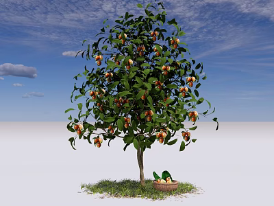 Fruit Bearing Arbor With Ripe Fruits And Basket On Green Grass Under Blue Sky 3d model