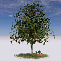 Fruit Bearing Arbor With Ripe Fruits And Basket On Green Grass Under Blue Sky