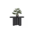 Black Console Table With Potted Green Plant In Modern Decorative Style