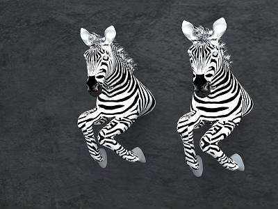 Stylish Zebra Wall Decor With Black And White Stripes Sitting On Dark Background 3d model