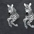 Stylish Zebra Wall Decor With Black And White Stripes Sitting On Dark Background 3d model