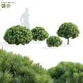 Outdoor Landscape Trees 3d model