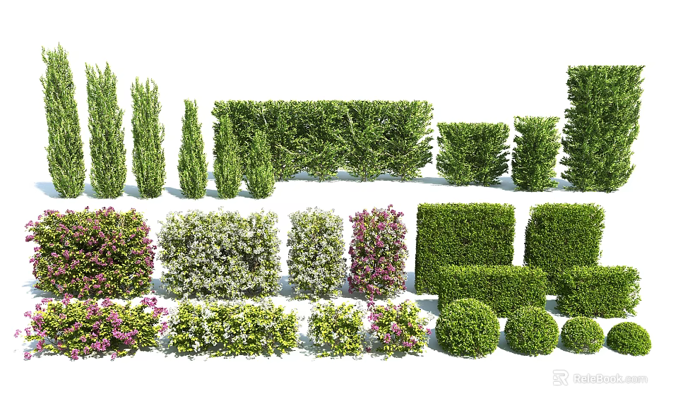 Different Types of Garden Bushes in Various Shapes and Foliage 3d model 