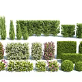 Different Types of Garden Bushes in Various Shapes and Foliage