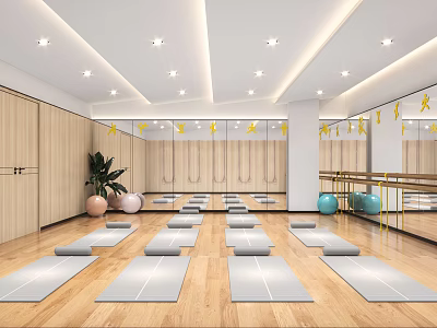 Spacious Yoga Studio with Wooden Floors Neatly Arranged Yoga Mats Mirror Walls and Soft Lighting 3d model