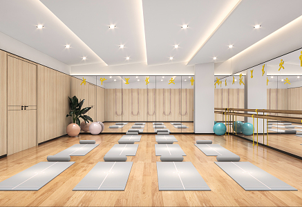 Modern Yoga Room Gym Yoga Room 3d model