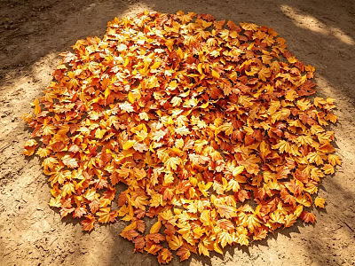Circular Arrangement of Orange and Yellow Maple Leaves Scattered on Dirt Ground in Natural Setting 3d model