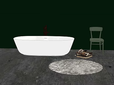 White Oval Bathtub in Wooden Floor Space with Green Wall Chair and Round Rug 3d model