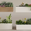 Bonsai Potted Plants in Varied Planters with Diverse Greenery and Flowering Species