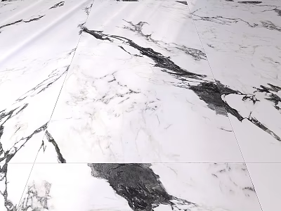 White And Black Marble Floor Tiles With Natural Vein Patterns For Modern Space 3d model