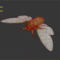 Modern cicada shell golden cicada 3d model