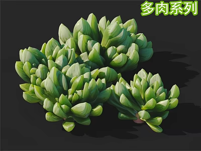 Vibrant Green Succulent Plants With Plump Leaves In Cluster Arrangement 3d model