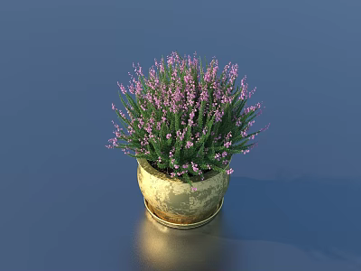 Bonsai Potted Plant with Purple Flowers in Golden Pot on Blue Background 3d model