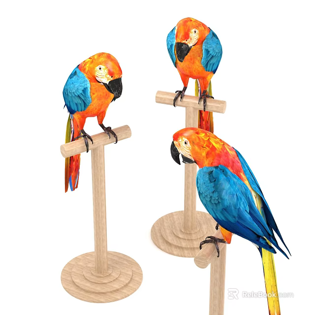 Three Colorful Flying Parrots Perching On Wooden Perches With Vibrant Feathers 3d model 