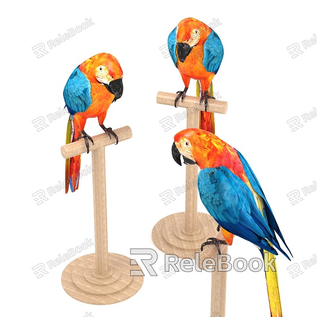 Modern Parrot Parrot Sculpture Ornament Jewelry Combination Creative Art Parrot Macaw model