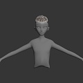 Modern Hair Short Hair Model Head 3d model