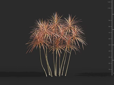 Ornamental Clumping Tree with Pink Red Slender Leaves and Slender Trunks for Gardens 3d model