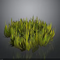 Lush Green And Yellow Grass Cluster In 3D Render With Reflective Surface