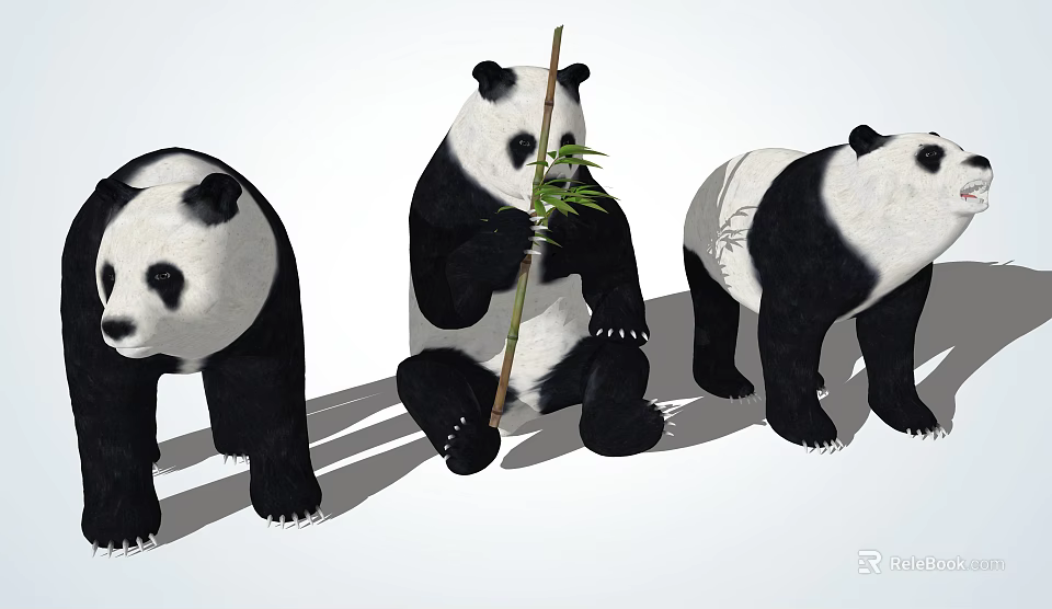 Three Giant Pandas with One Sitting Eating Bamboo and Two Standing 3d model 