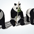 Modern Panda Giant Panda 3d model