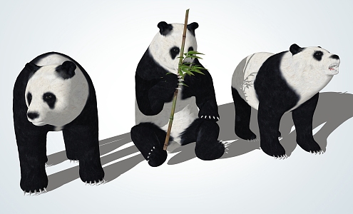 Modern Panda Giant Panda 3d model