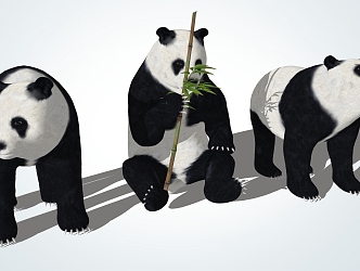 Modern Panda Giant Panda 3d model