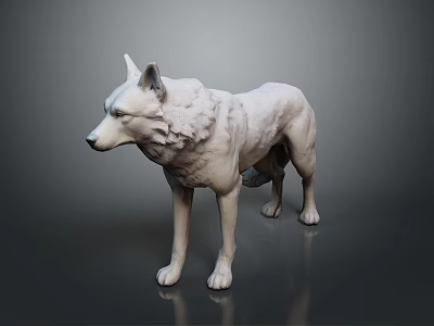 White Standing Wolf Sculpture on Dark Background with Reflective Surface 3d model