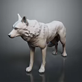 White Standing Wolf Sculpture on Dark Background with Reflective Surface 3d model