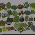 Various Types of Garden Shrubs with Colorful Flowers Green Foliage and Decorative Stones